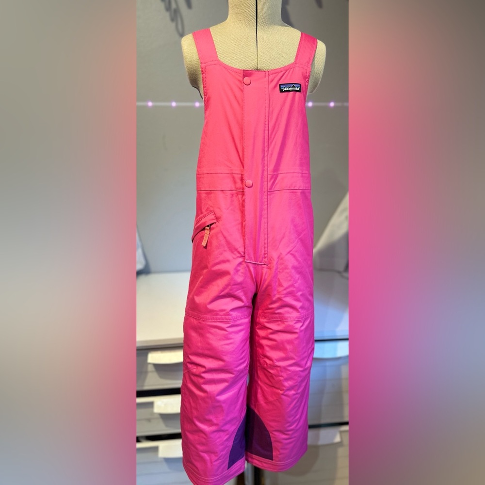 Patagonia Powder Town Bib Ski pants (like new)